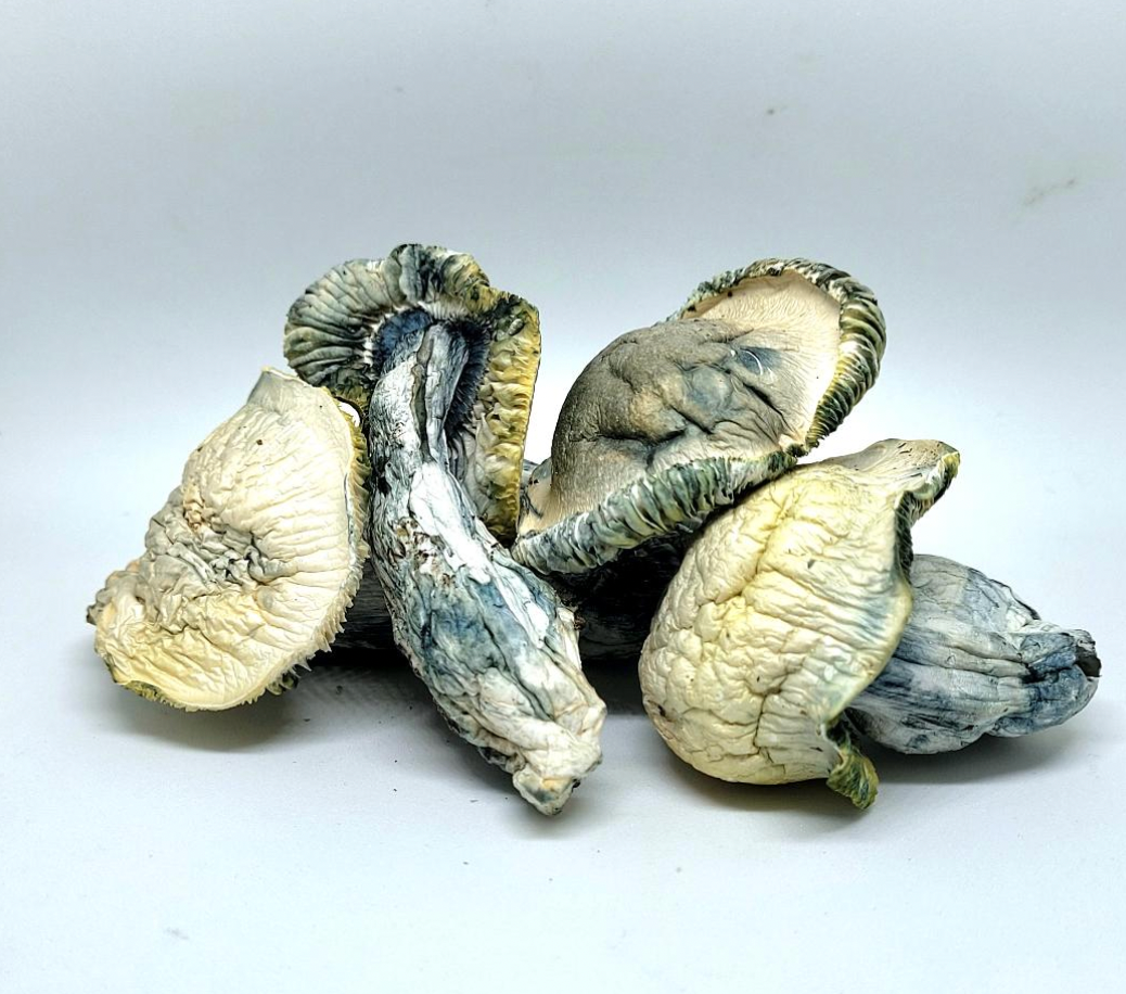 Psychedelic Mushrooms | Magic Mushroom | Shrooms