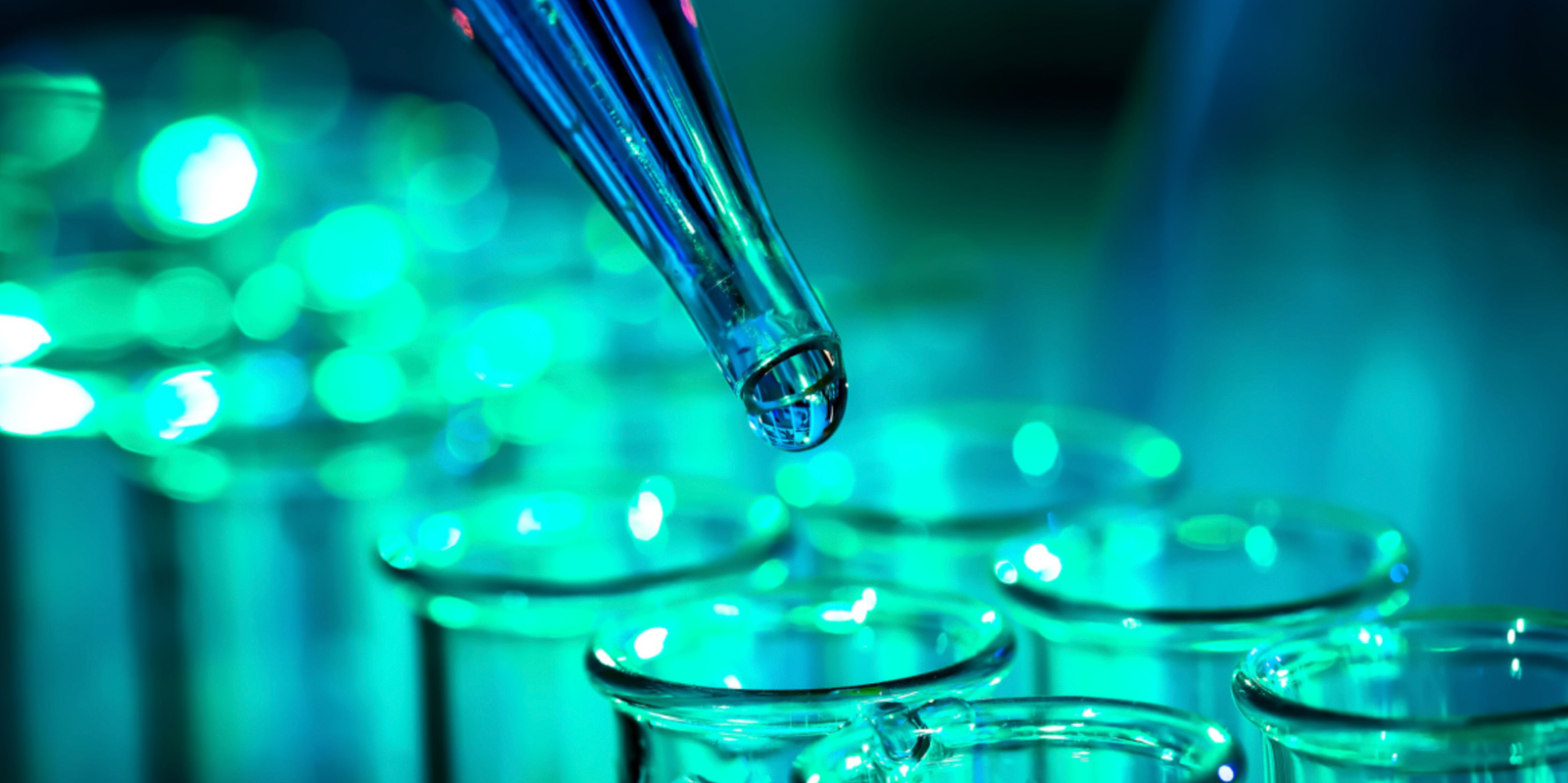 How to Accurately Test a DMT Cart Oil in 2026